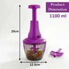 Master Push Chopper [650 ml, Pack of 1]