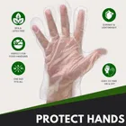 Transparent disposable gloves for kitchen hand - Use and Throw Gloves  