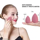 Combo of 5 Pcs Makeup Blenders & Removal Sponge 