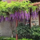 Polyester Artificial Hanging Flower Garlands 