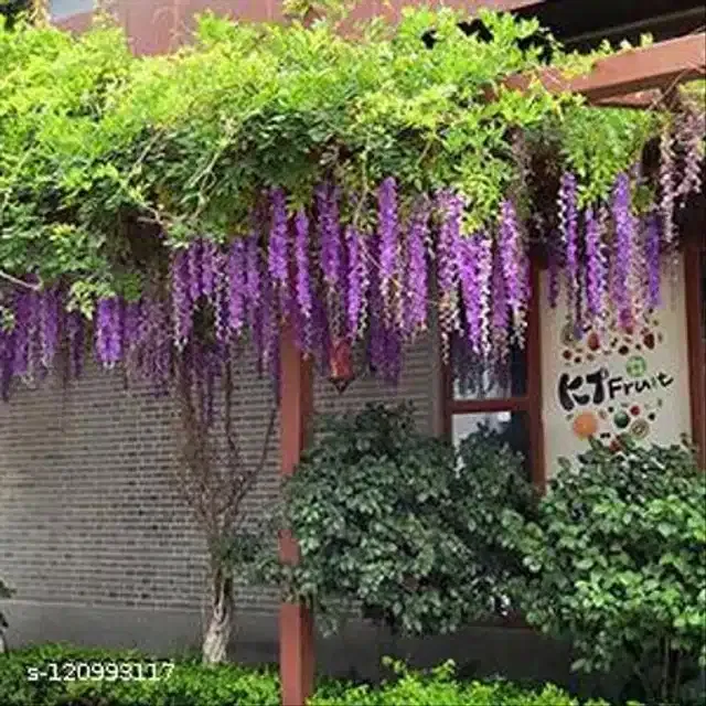 Polyester Artificial Hanging Flower Garlands (Purple & Green, Pack of 4)