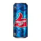 Thums Up 300 ml (Can)