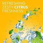 डेटोल युजू सिट्रस बॉडी वाश एंड शावर जेल, रिफ्रेश - 250 ml