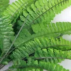 Plastic Artificial Flower 