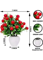 Green Gallery Pack of 2 Cherry Plant 13Wx17L cm