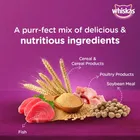 Whiskas Dry Adult Ocean Fish Cat Food 480g