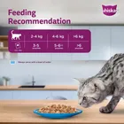 Whiskas Adult Tuna Cat Food 7x80g