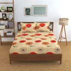 Glace Cotton Printed Fitted Double Bedsheet with Two Pillow Covers 