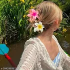 Plastic Hair Claw Clips for Women & Girls 