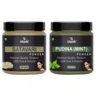 Natural Shatavari & Pudina Powder for Skin & Hair 