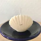 Scented Seashell Shaped Candle 