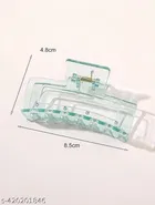 Plastic Hair Clutcher for Women & Girls 