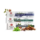 Ayouthveda Toothpaste Mint Gel 100 g + Natural 100 g + Charcoal 100 g (Pack of 3)