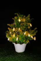 EVEREADY Crystal String | Decorative and Festive Lighting | 15 LEDs | Available in 3M | BIS Approved | Made in India | Warm White