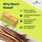 Park Daniel Natural & Ecofriendly Handmade Medium Detangler Neem Wooden Comb 