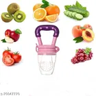 Teether with Fruit Nibbler for Baby 