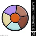4 in 1 Concealer Palette, Multicolor, Pack of 1