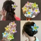 Hair Clips for Women 