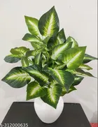 Plastic Artificial Flower With Pot,Multicolour