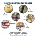 Herbs Library Plain Sunflower Seeds 