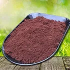 Zello 100% Natural and Organic Cocopeat Powder 1 Kg