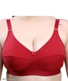 Padded Bra for Women, Pack of 2 