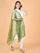 Net Self-Design Dupatta for Women 