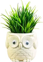 Akaar Artificial Fern Plant in Beige Owl Pot - 