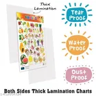 Bookford Publications Both Sides Big Laminated Charts – Fruits & Healthy Food 