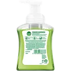 डेटॉल एलो कोकोनट फोमिंग हैंडवॉश 250 ml 