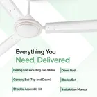 Longway Nexa P1 1200 mm 3 Blade Ceiling Fan  