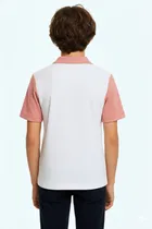 Polo Neck Colorblocked T-Shirt for Men, Pink 