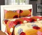Polycotton Printed Double Bedsheet with 2 Pillow Covers 