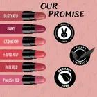 Ronzille Hydrating Mini Lipstick Set – Pink 