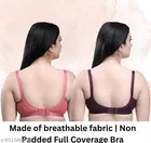 Padded Bra for Women, Pack of 2 