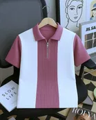 Polo Neck Colorblocked T-Shirt for Men, Purple 