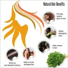 Natural Shatavari Powder for Skin & Hair 