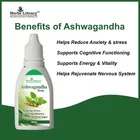 Nutrocopia Ashwagandha Drops 