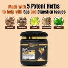 KAYABOOST Gas Relief Pro Powder Gas Relief, Acidity Relief Ayurvedic Health Care Powder 