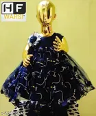 Net Sleeveless Dress for Girls 