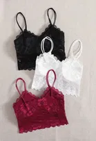 Cotton Solid Padded Bras for Women, Multicolour, Pack of 3 