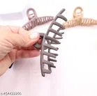 Plastic Hair Clutcher for Women & Girls 