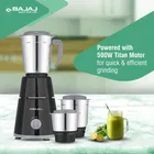 BAJAJ GX 1 500 W Juicer Mixer Grinder  
