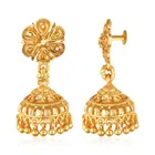 Gold Plated Earrings for Women & Girls 