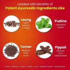 Dabur Lal Dant Manjan Ayurvedic Toothpowder - 300 g