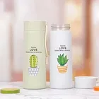 KS Love Cactus Leak Proof Flask 450ml 