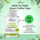 Herbs Library Green Coffee Beans Extracts Fat Burner Capsules 