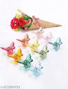 Plastic Hair Clips for Women & Girls 
