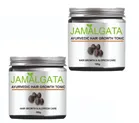 Jamalgata Powder for Hair Fall (100 g, Pack of 2)