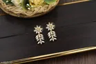 Alloy Earrings for Women 